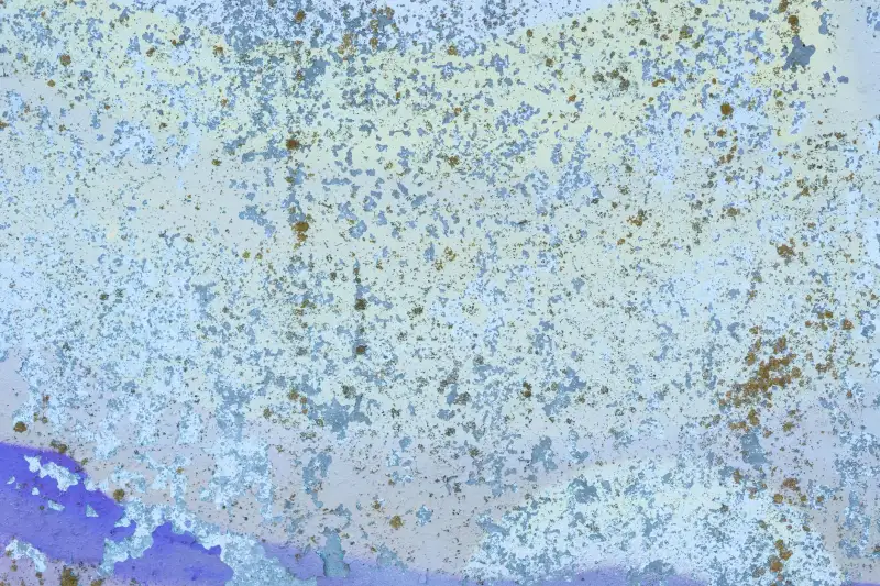 长三角制造业培训管理软件选型指南：光盘版与云端版功能对比