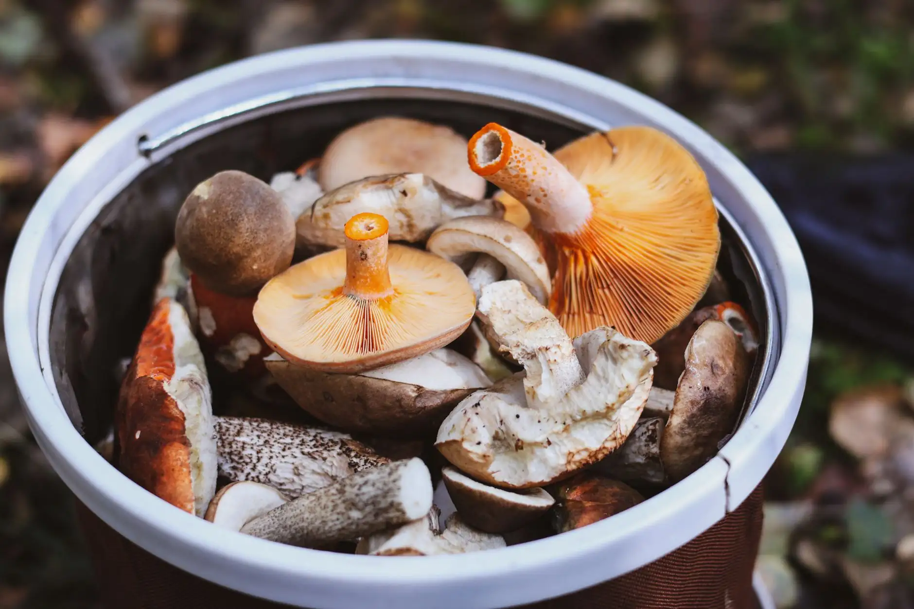 昆山招聘管理软件与入职管理软件一体化部署方案解析