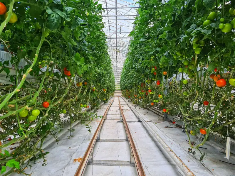 昆山企业人力资源软件光盘选型指南：招聘与入职管理模块解析