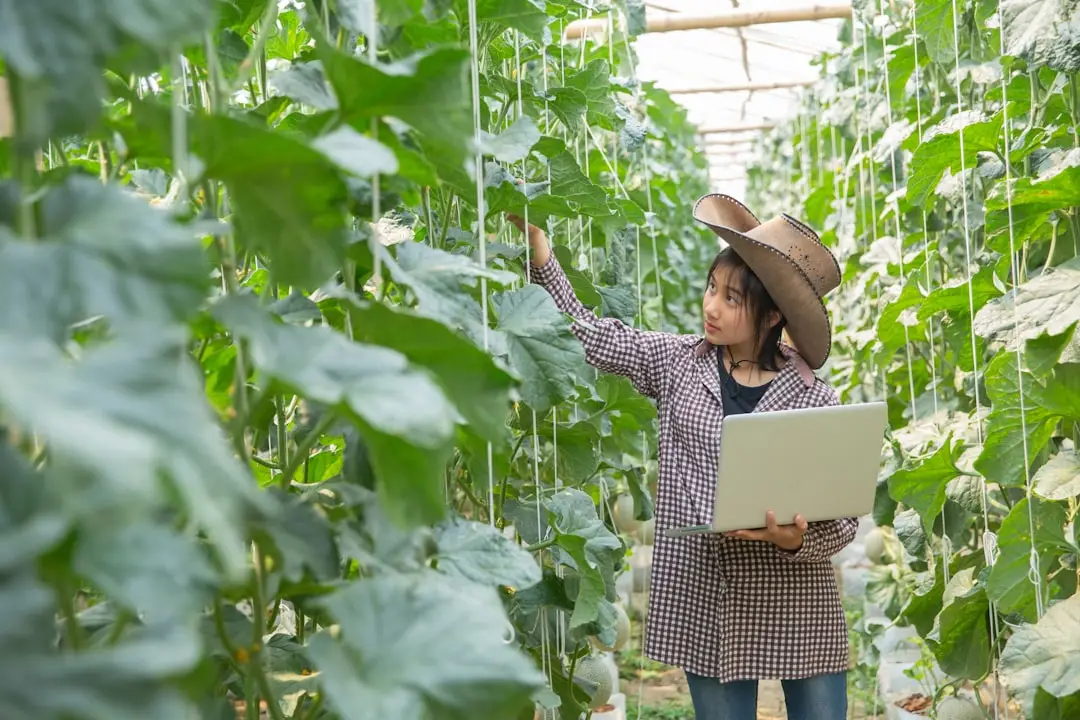 昆山小道信息技术招聘管理软件与企业HR系统集成方案