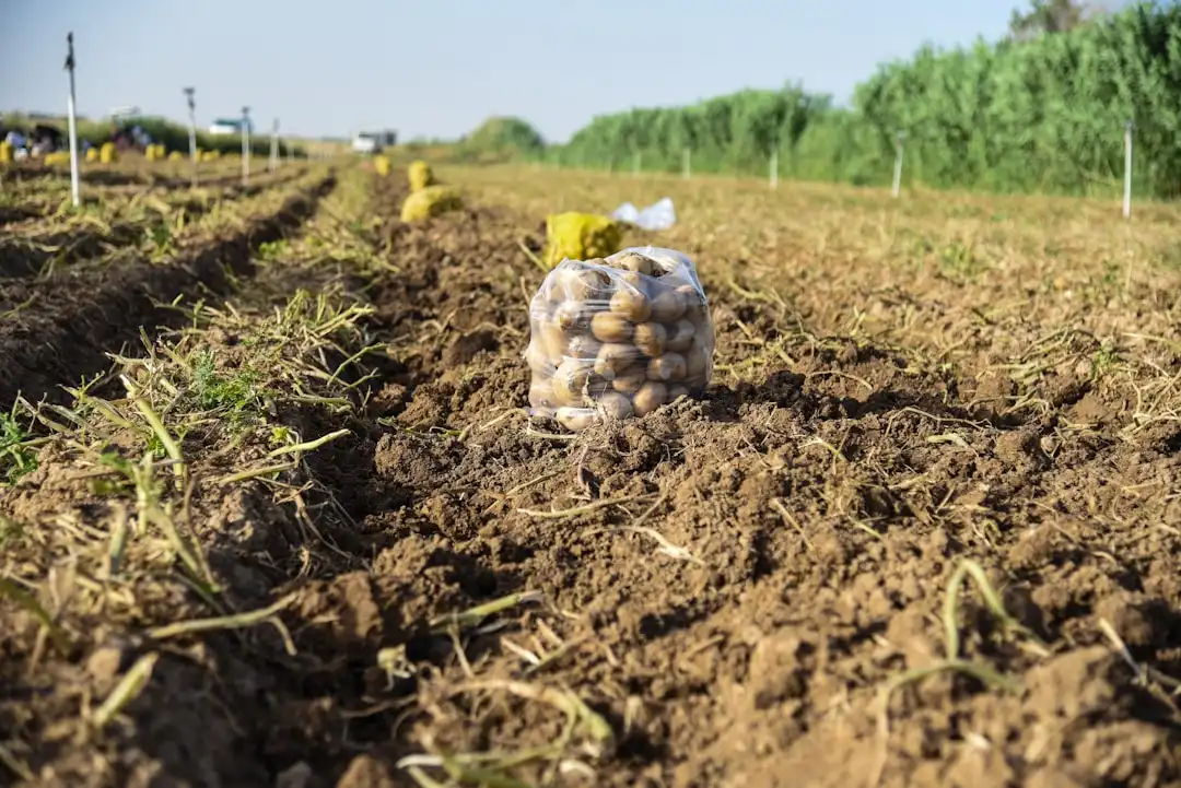 昆山企业招聘管理软件与光盘交付模式的应用对比分析