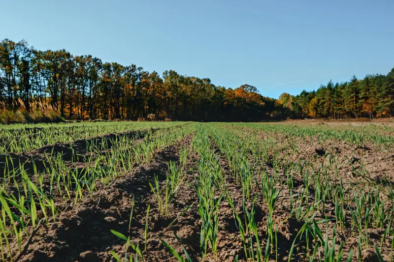昆山企业招聘管理软件与光盘交付模式的应用对比分析