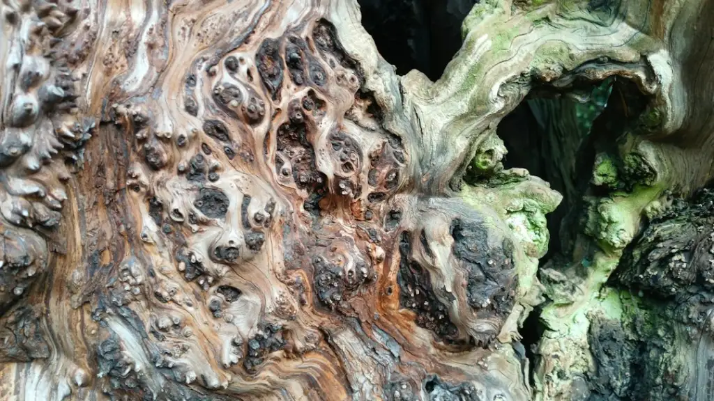 人力资源软件光盘在员工全生命周期管理中的核心应用场景