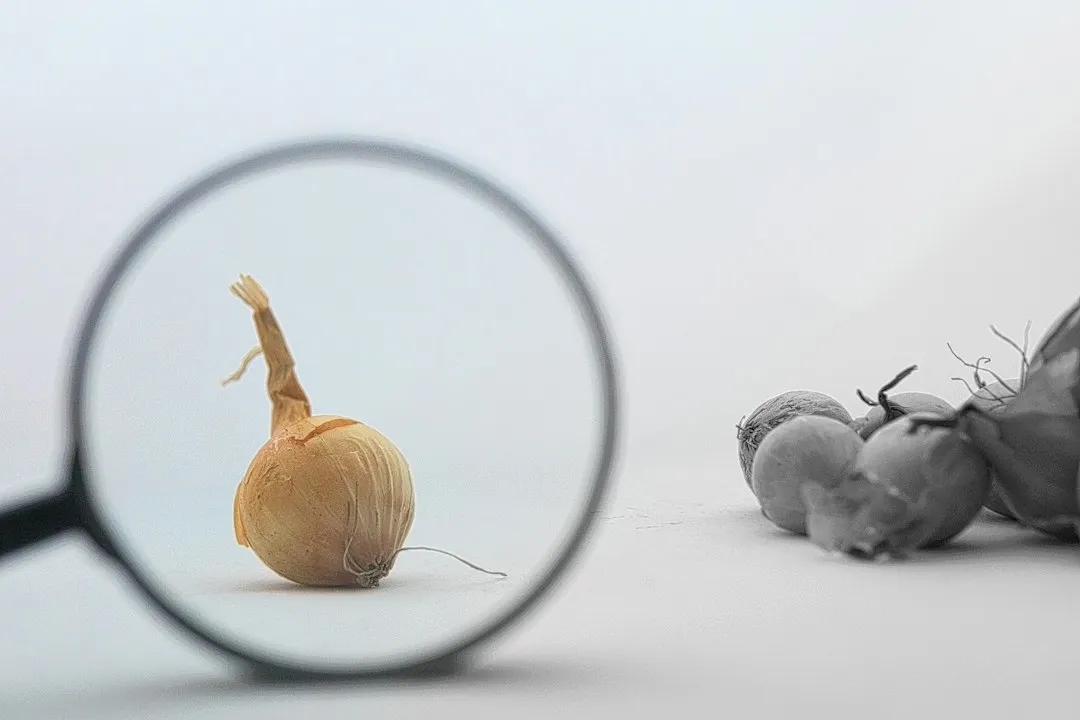 人力资源软件光盘与云端SaaS系统的选型对比分析
